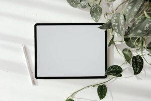 iPad zum zeichnen